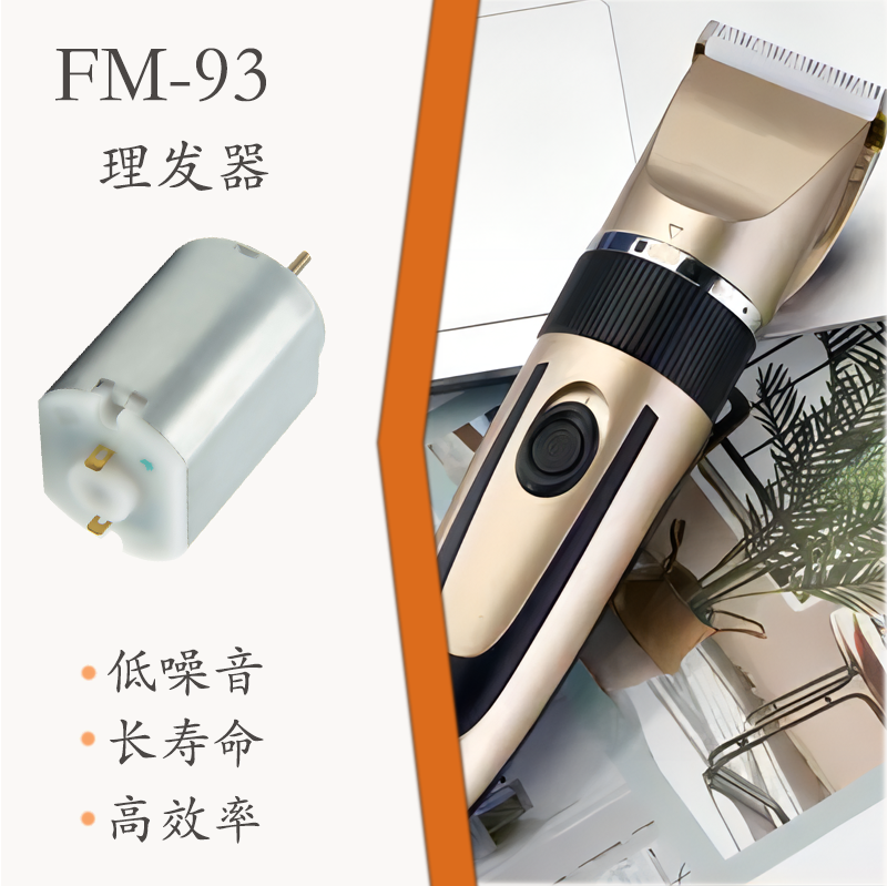 FM-93 直流有刷电机(图1)